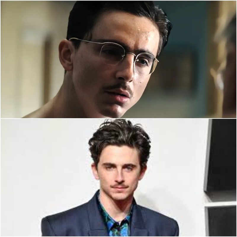 Timothée Chalamet in 18 film da vedere: da Marty Supreme ai primissimi ruoli, la sua storia d’amore con il cinema