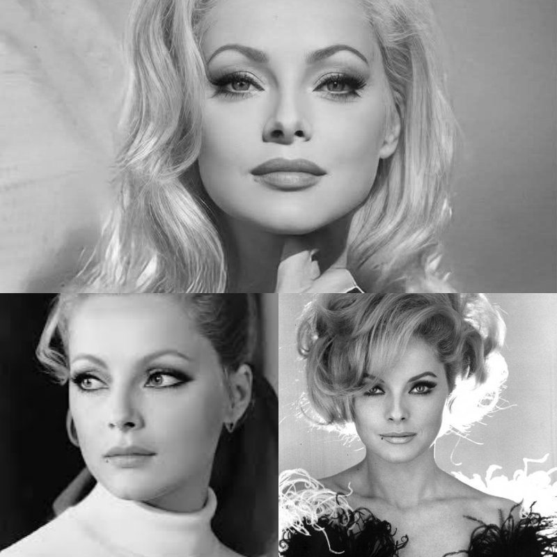 “Non l’ho mai dimenticato”: a 74 anni, Virna Lisi confessa la sua storia d’amore più sconvolgente. Le sue parole toccanti rivelano una verità nascosta per decenni… (Dettagli nei commenti… 👇)