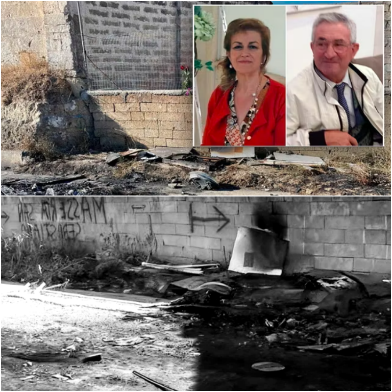 ๐ฑ NOTIZIE โ 23 GENNAIO 2026